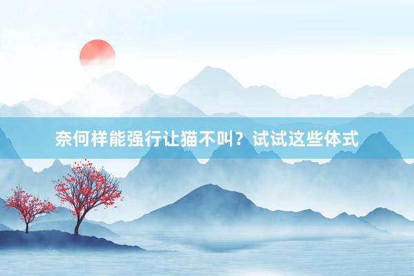 奈何样能强行让猫不叫？试试这些体式