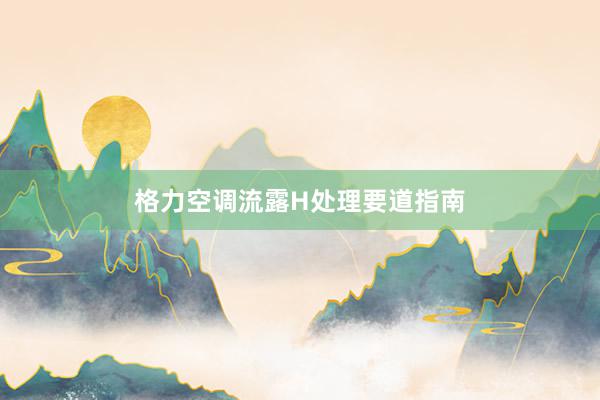 格力空调流露H处理要道指南
