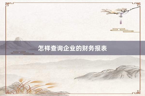 怎样查询企业的财务报表